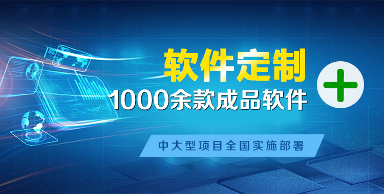 大东管理系统软件软件开发